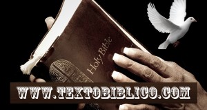 www.textobiblico.com.br